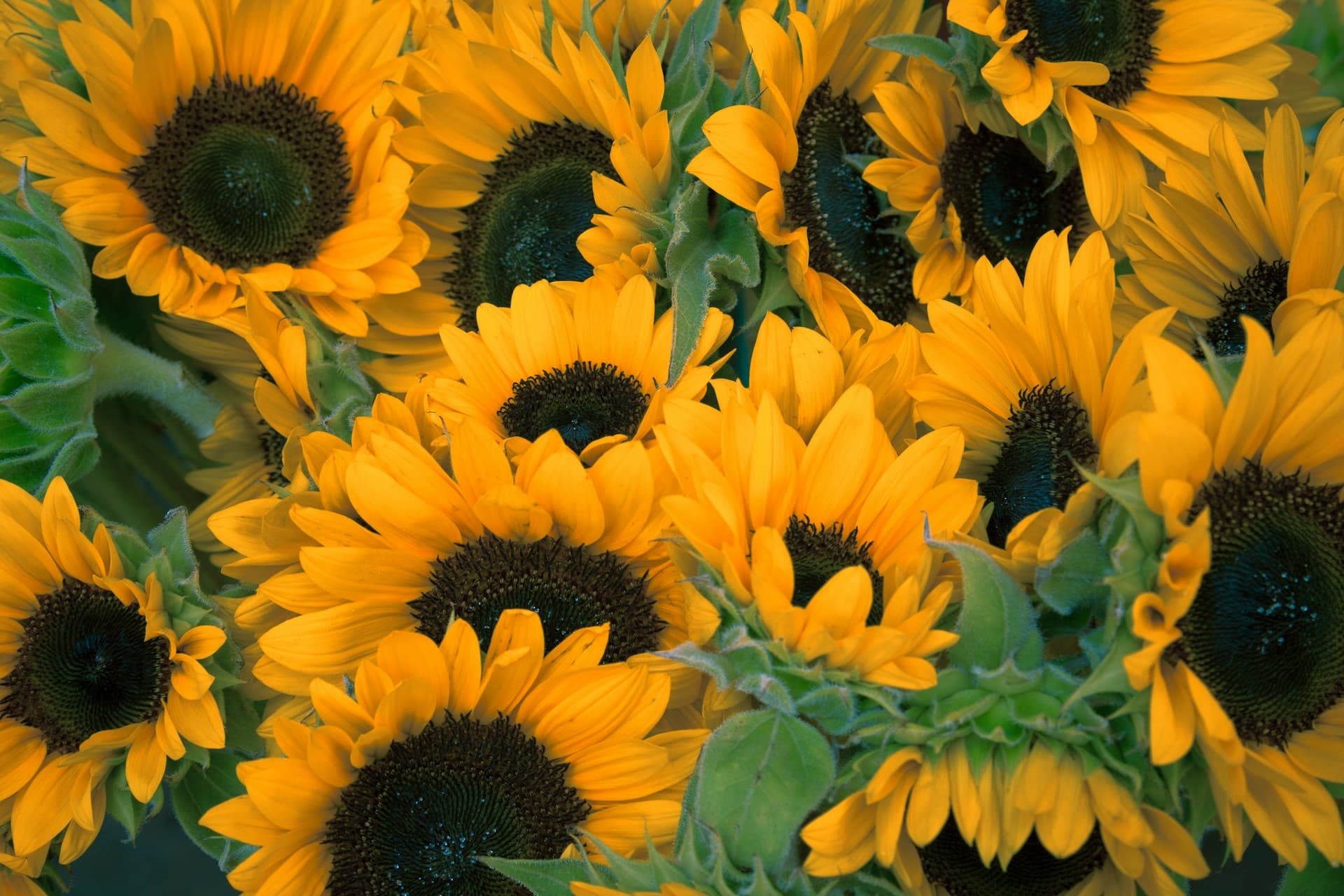 Floral arrangement at Oasis Beauty & Wellness